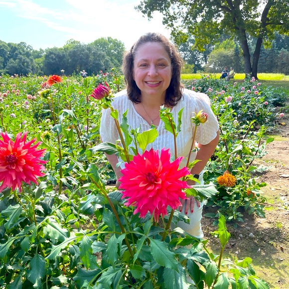 Meet your Posher, Palma - Picture 1 of 3